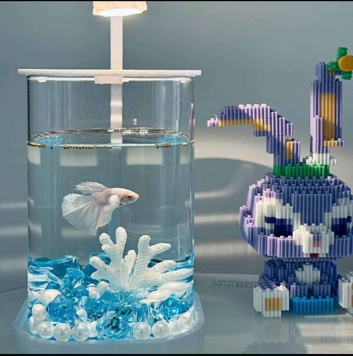 Premium Mini Fish Tank | Crystal Clear Desktop Aquarium for Home & Office Decor - Image 10