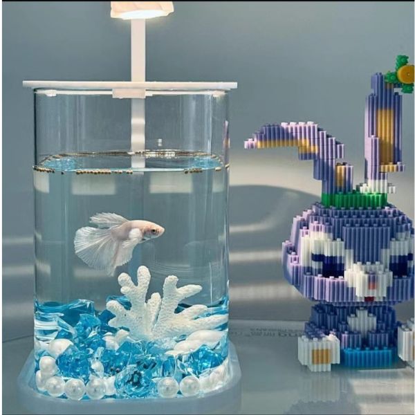 Fish aquarium