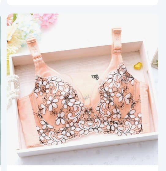 Elegant Floral Embroidered Push-Up Bra - Image 10