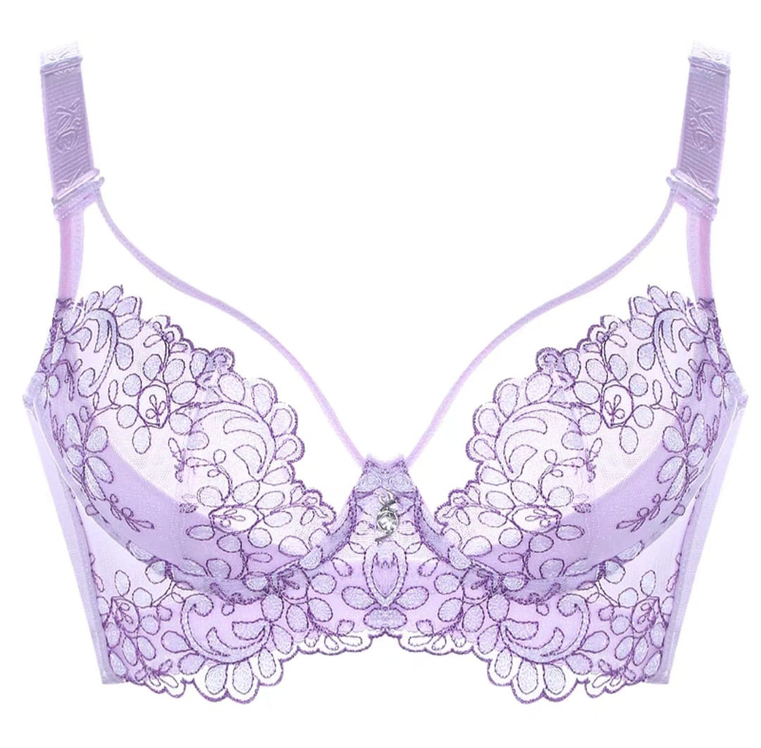 Elegant Floral Embroidered Push-Up Bra - Image 17