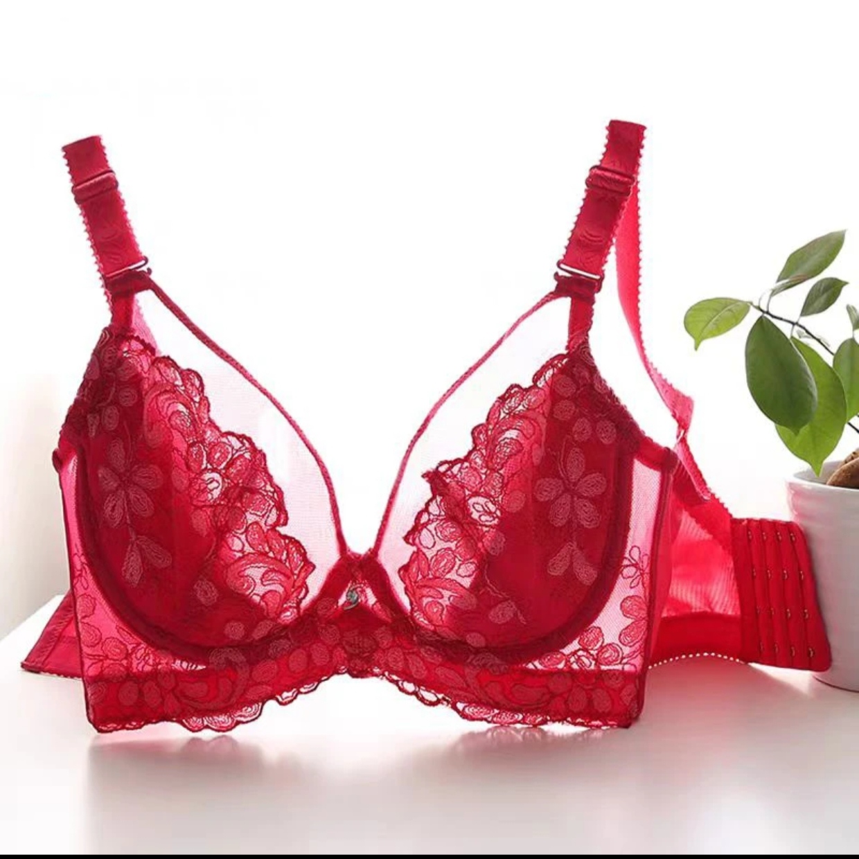 Elegant Floral Embroidered Push-Up Bra - Image 3